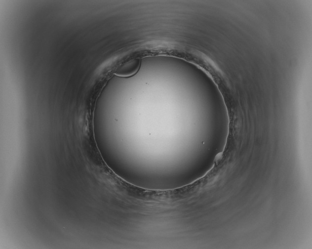 X0000110671016200906121305