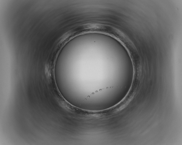 X0000110671017200906121305