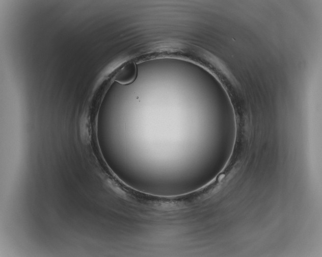 X0000110671018200906121305
