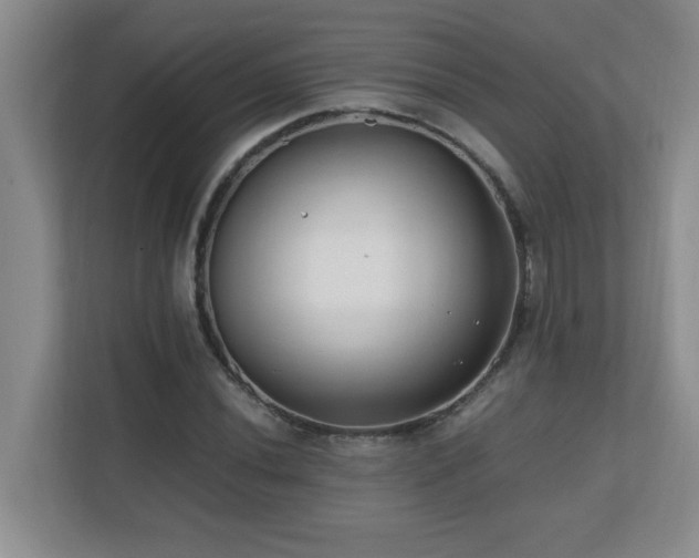 X0000110671020200906121305