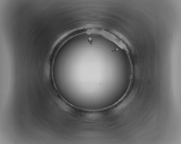X0000110671021200906121305