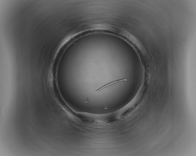 X0000110671024200906121305