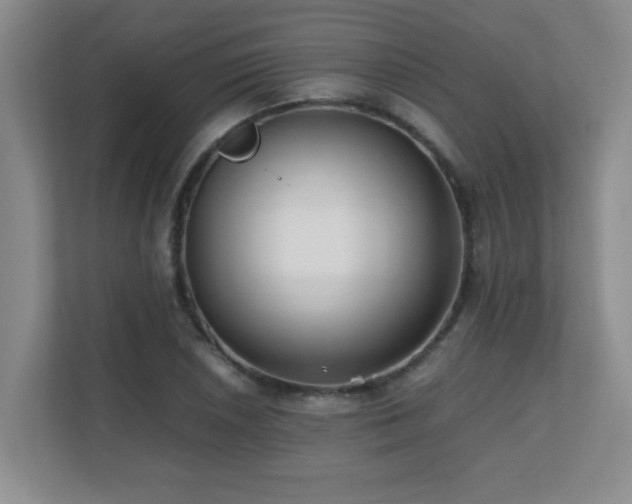X0000110671026200906121305