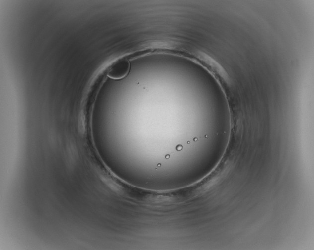 X0000110671027200906121305