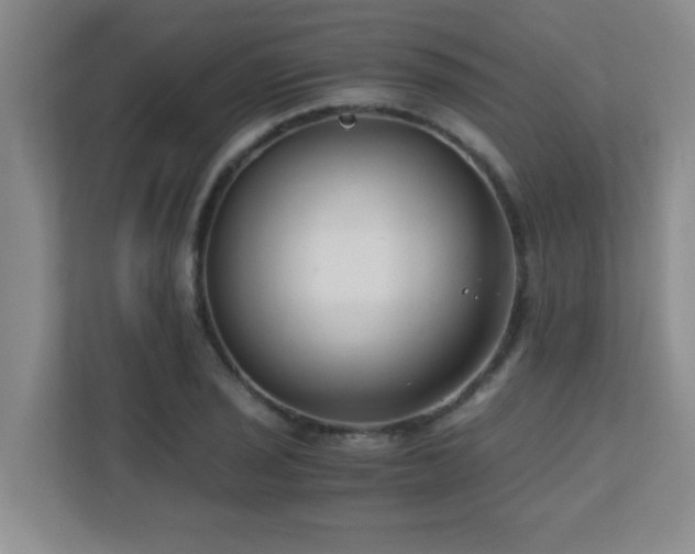 X0000110671029200906121305