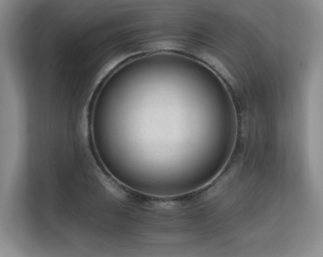 X0000110671031200906121305