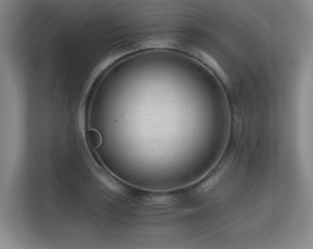 X0000110671035200906121305