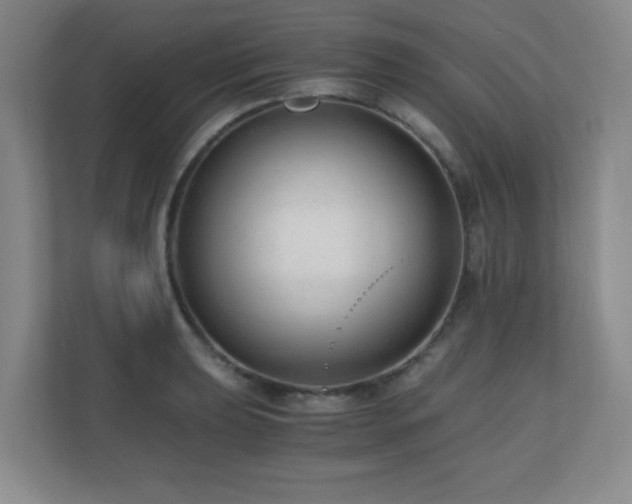 X0000110671039200906121305