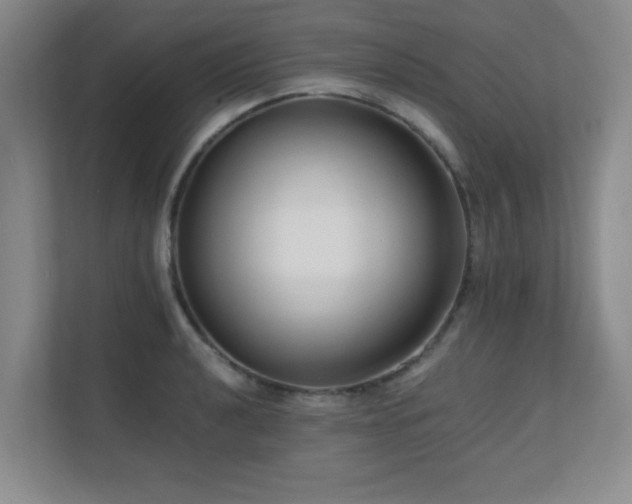 X0000110671040200906121305