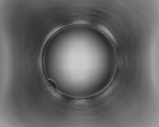 X0000110671043200906121305