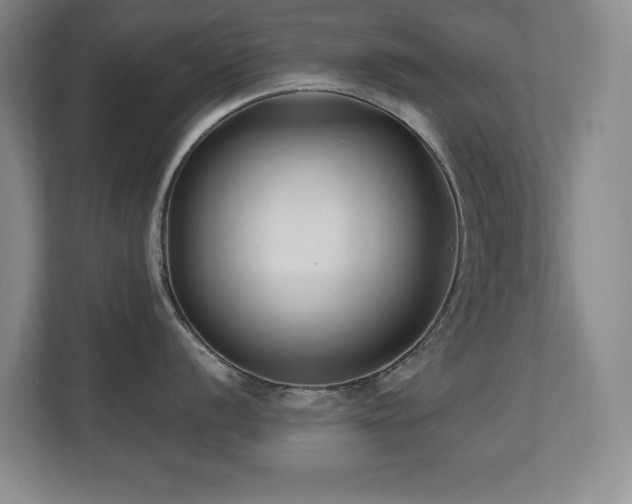 X0000110671056200906121306