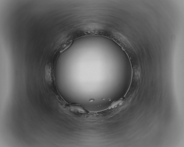 X0000110671060200906121305