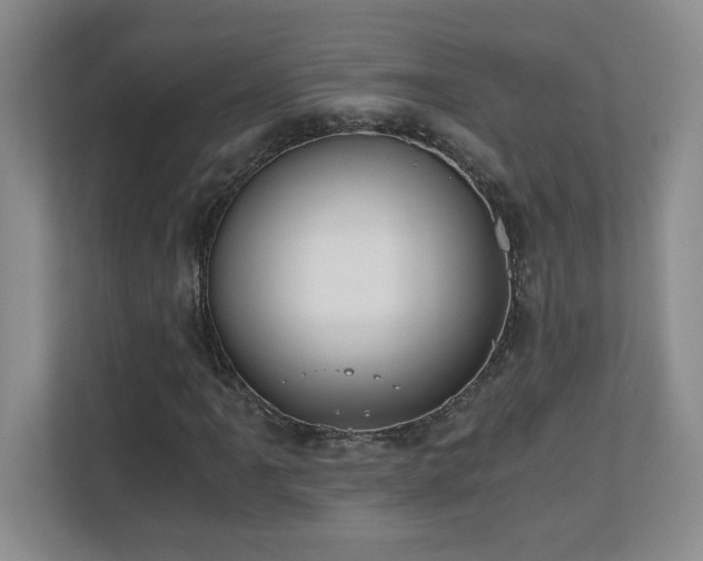 X0000110671061200906121305
