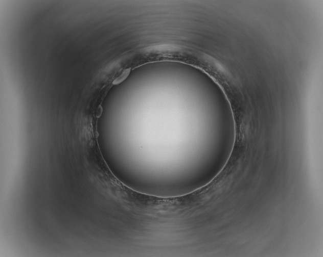 X0000110671062200906121305