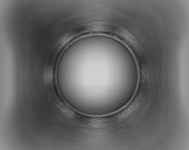 X0000110671065200906121305
