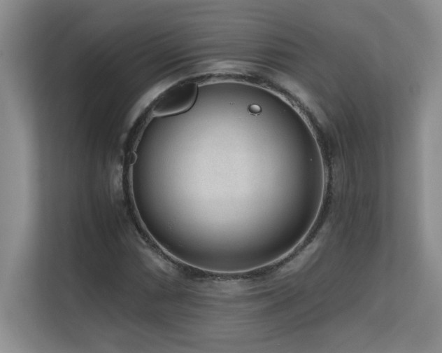 X0000110671066200906121305