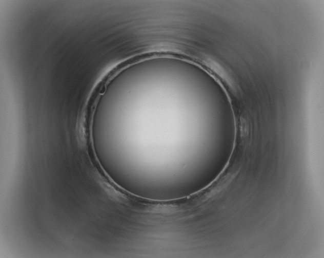 X0000110671068200906121305