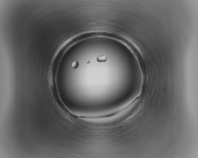 X0000110671069200906121305