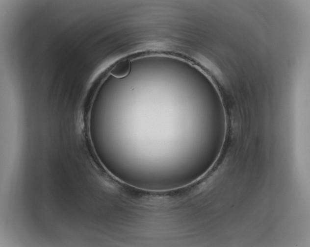 X0000110671070200906121305