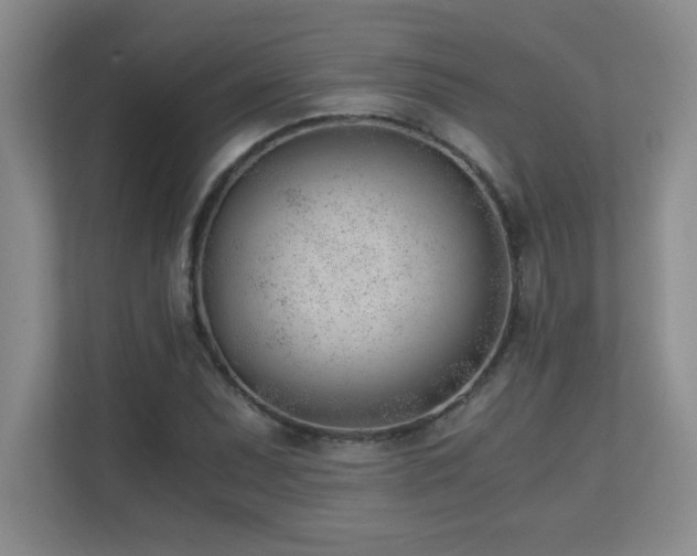 X0000110671071200906121305