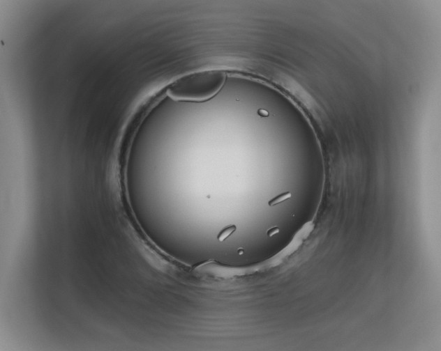 X0000110671072200906121305