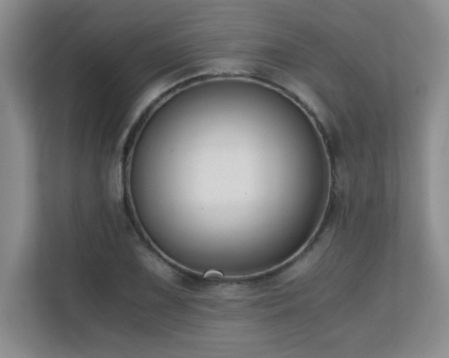 X0000110671075200906121305