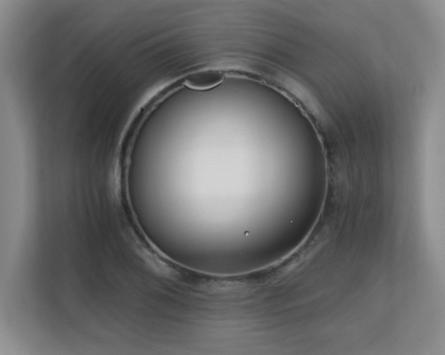 X0000110671076200906121305