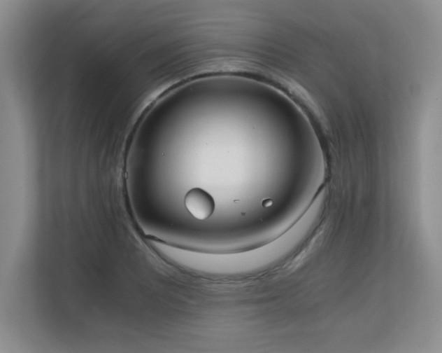 X0000110671081200906121305