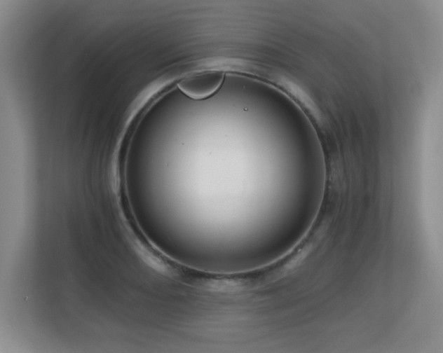 X0000110671082200906121305