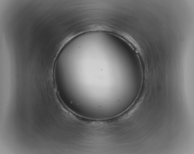 X0000110671089200906121305