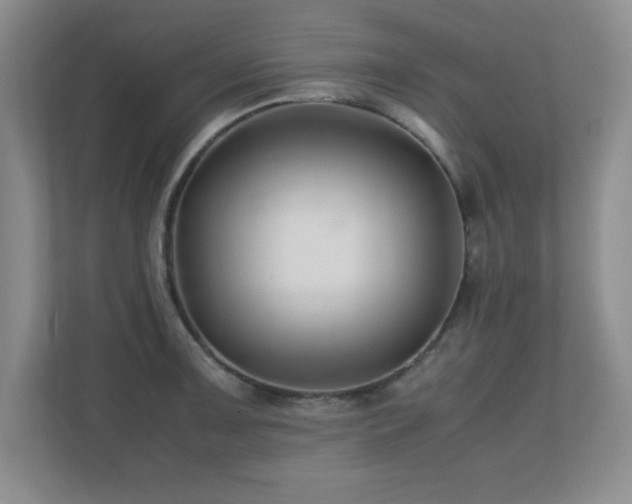 X0000110671091200906121305