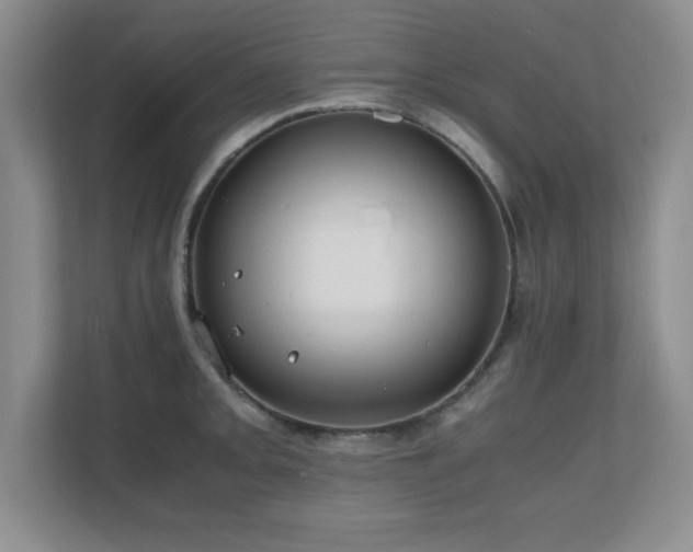 X0000110671093200906121305