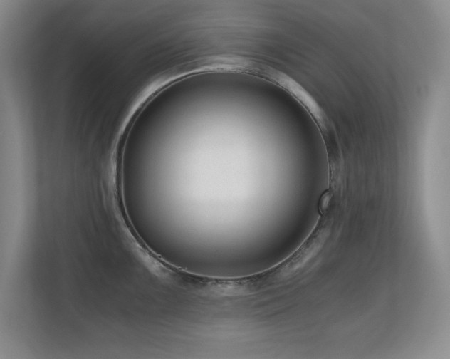 X0000110671099200906121304