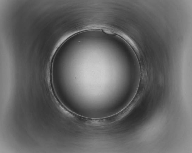 X0000110671102200906121304