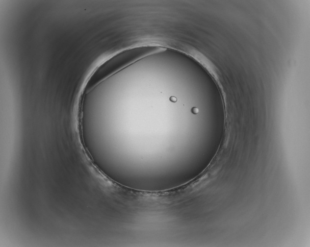 X0000110671104200906121304