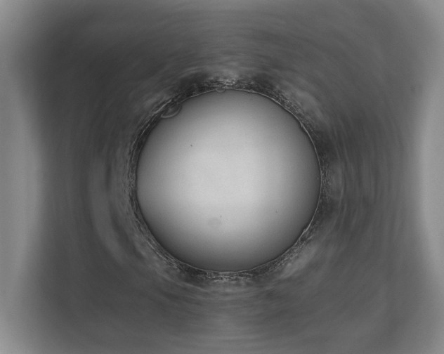 X0000110671105200906121304