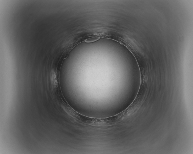 X0000110671106200906121304