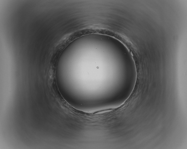 X0000110671110200906121304
