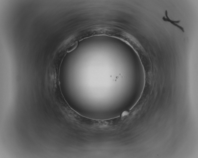 X0000110671111200906121304