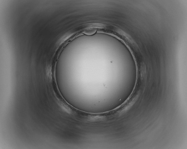 X0000110671113200906121304
