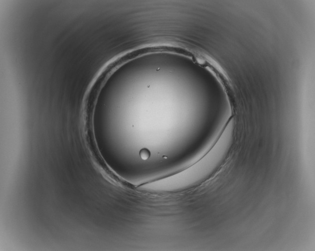 X0000110671116200906121304