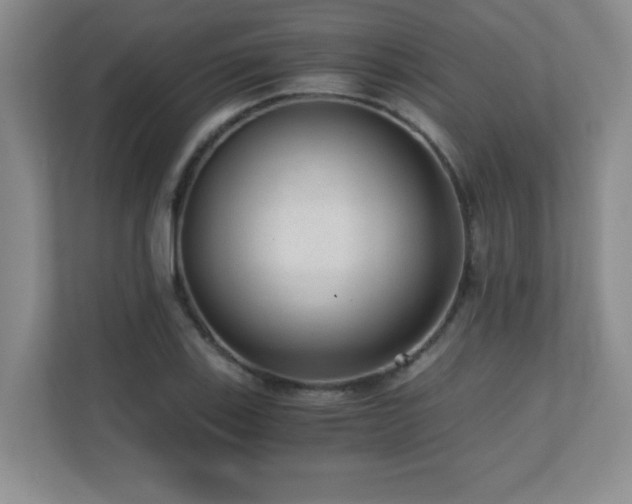 X0000110671123200906121304