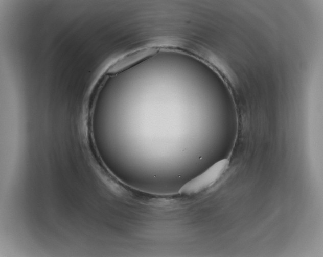 X0000110671124200906121304