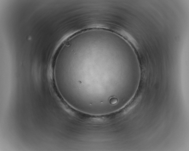 X0000110671125200906121304