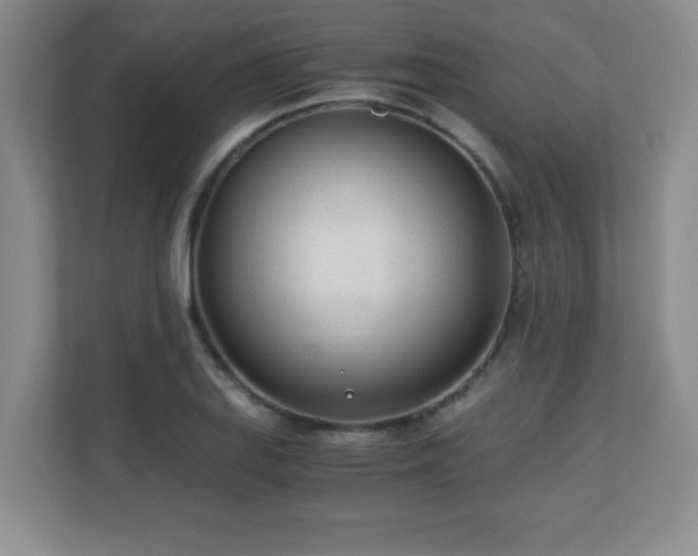 X0000110671127200906121304