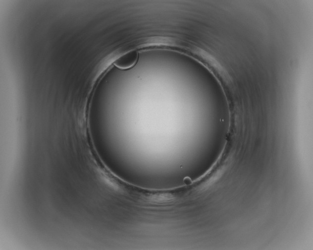 X0000110671129200906121304