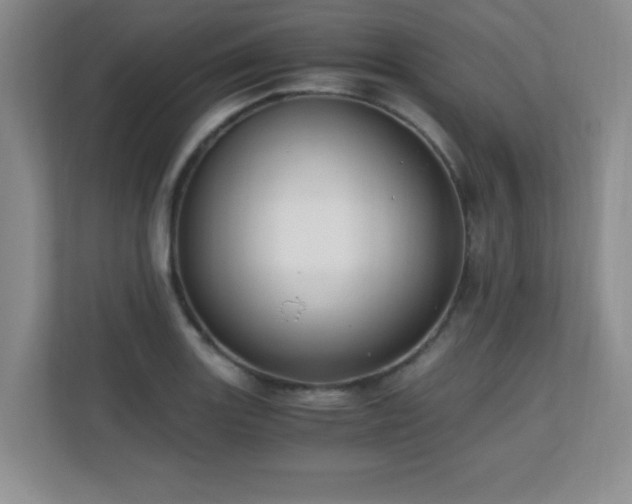 X0000110671131200906121304