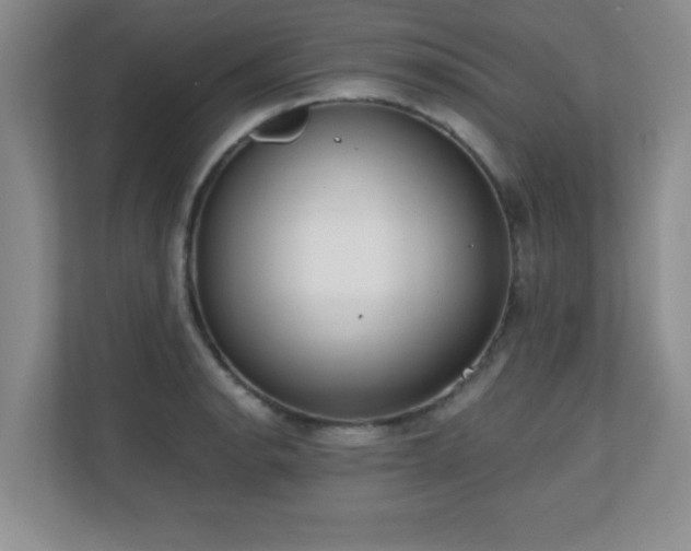 X0000110671134200906121304