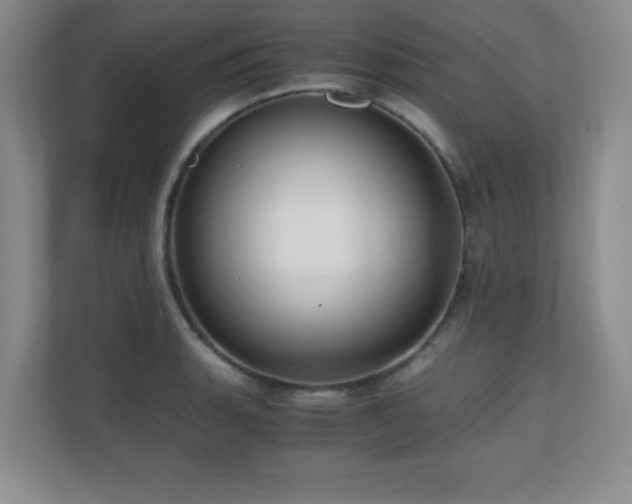 X0000110671135200906121304