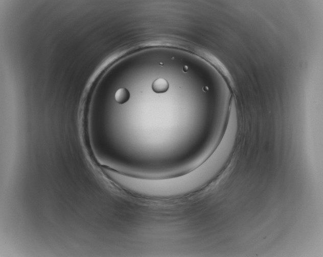 X0000110671138200906121304